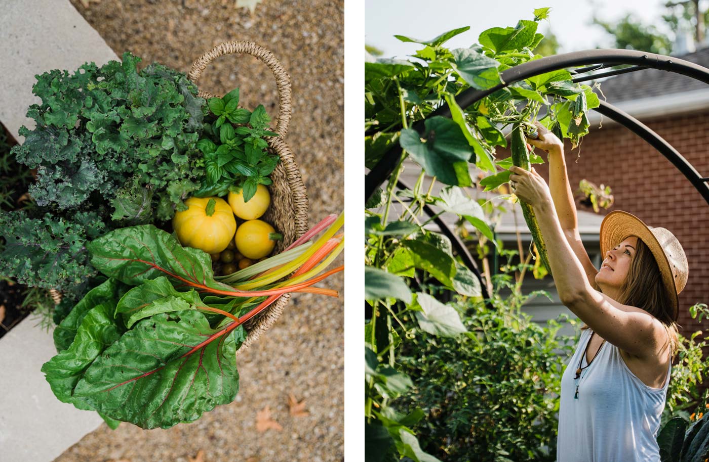 Left: Staggered planting can generate produce well past summer. Right: The goal of Seed and Vine is to create beautiful and accessible kitchen gardens. 