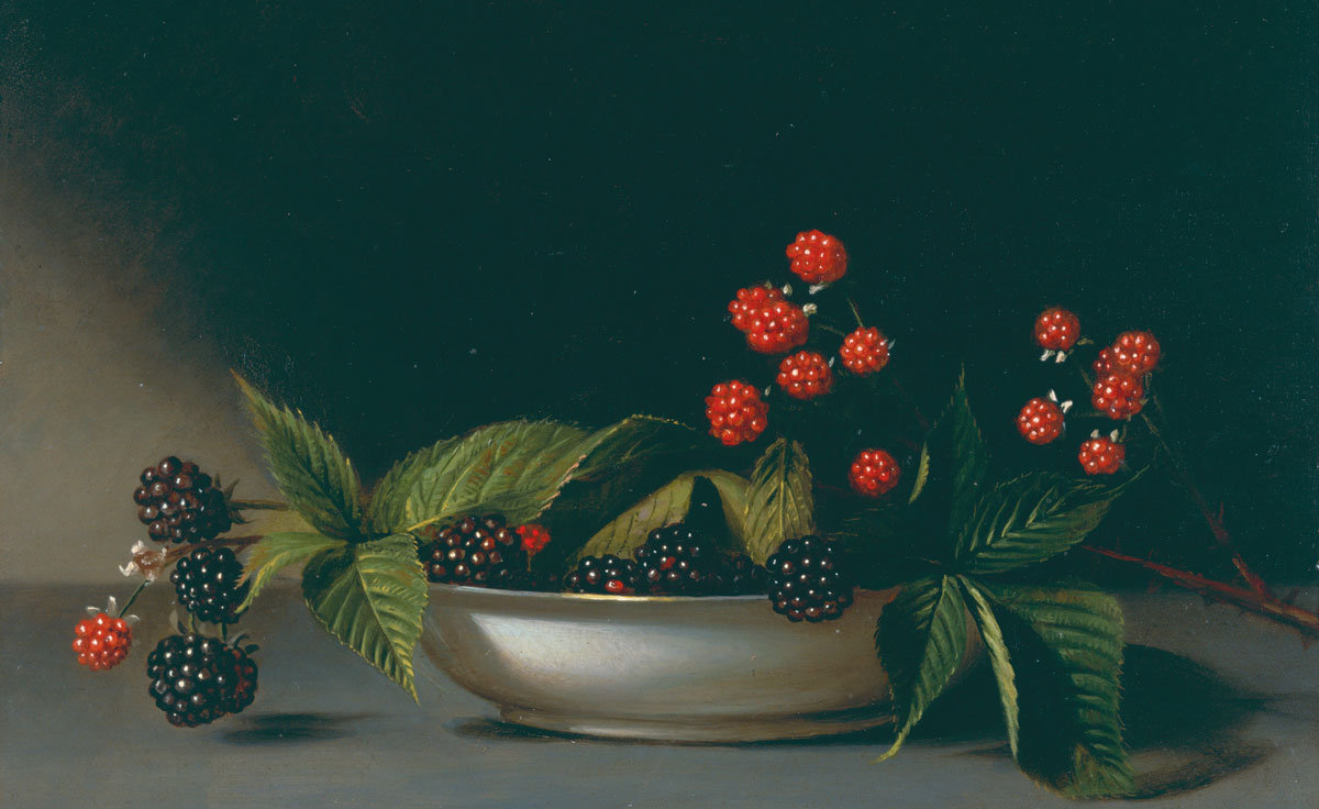 Raphaelle Peale, “Blackberries