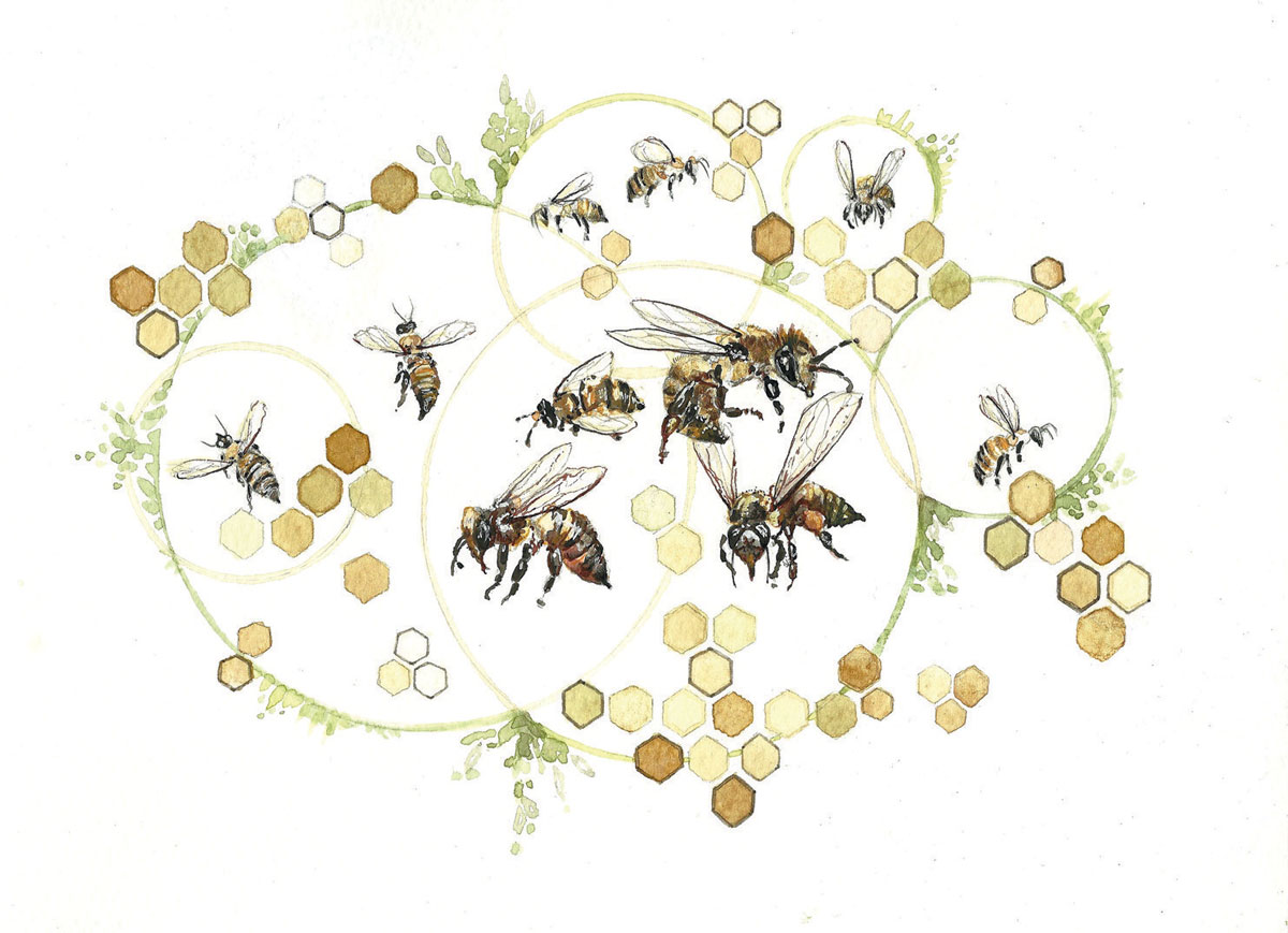 illustration of bees and honeycomb network of hives