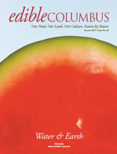 up close watermelon on cover
