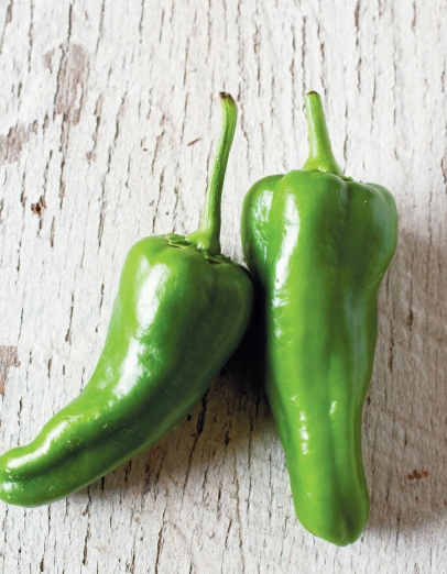 green shishito peppers