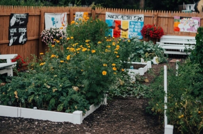 garden for kids