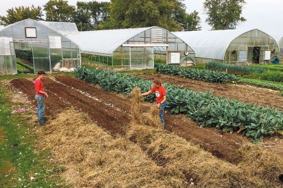 Rachel Hershberger and Ben Hartman transformed their small farm