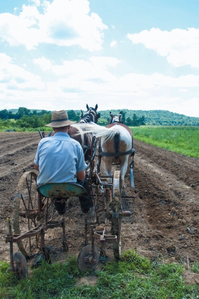 One of the Amish workers on Eli’s farm uses a horse cart to lay rows in the soil to prepare for planting