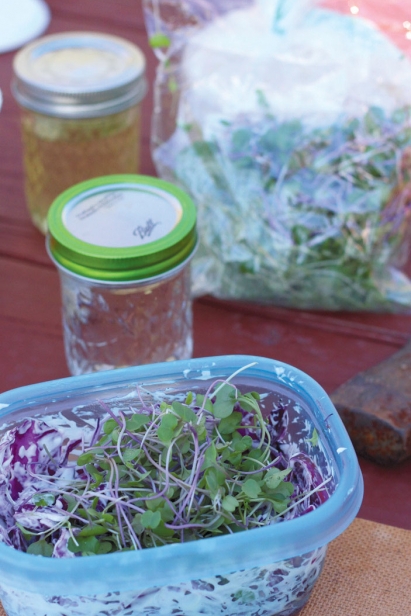 mason jar salads for a camping trip