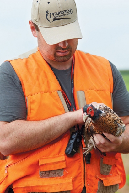 Steve Berk releasing quail and pheasant for hunt