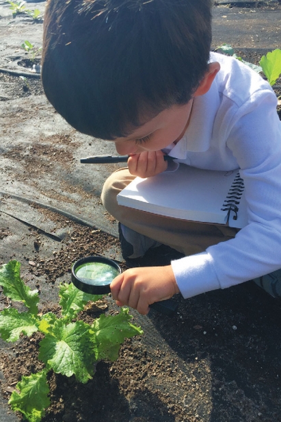 child investigating plants