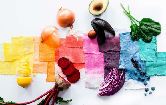 Dyes from food waste