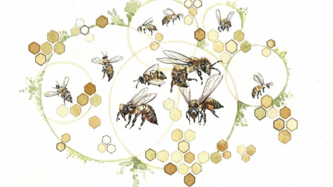 illustration of bees and honeycomb network of hives