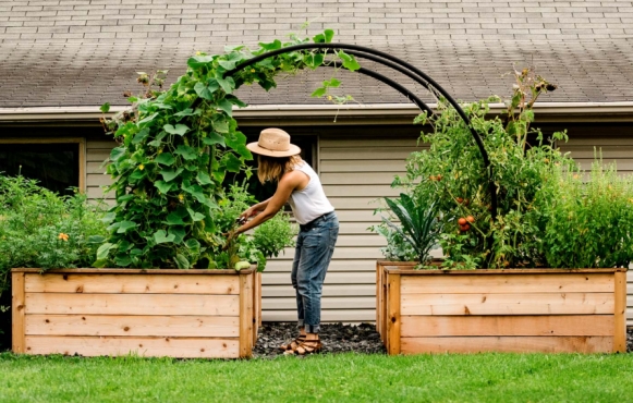 This Seed and Vine installation includes wood raised beds connected by arches.