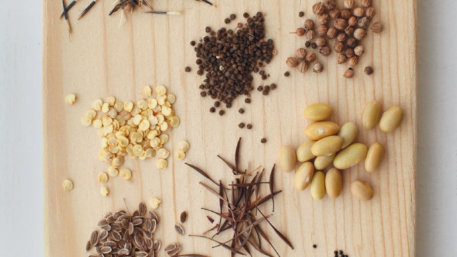 different types of seeds on a cutting board